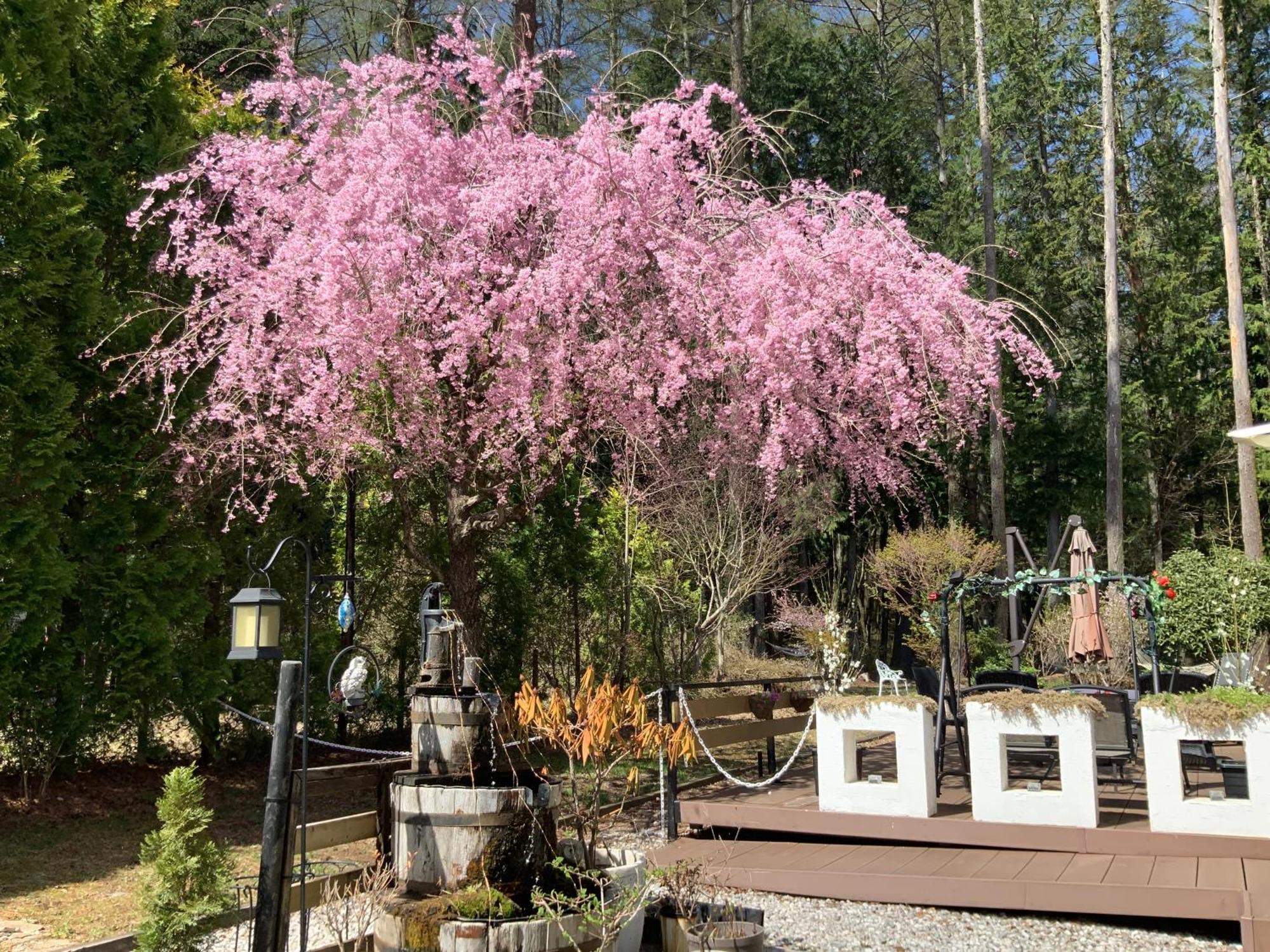 Kakureyado Fujikawaguchiko Bed & Breakfast ภายนอก รูปภาพ